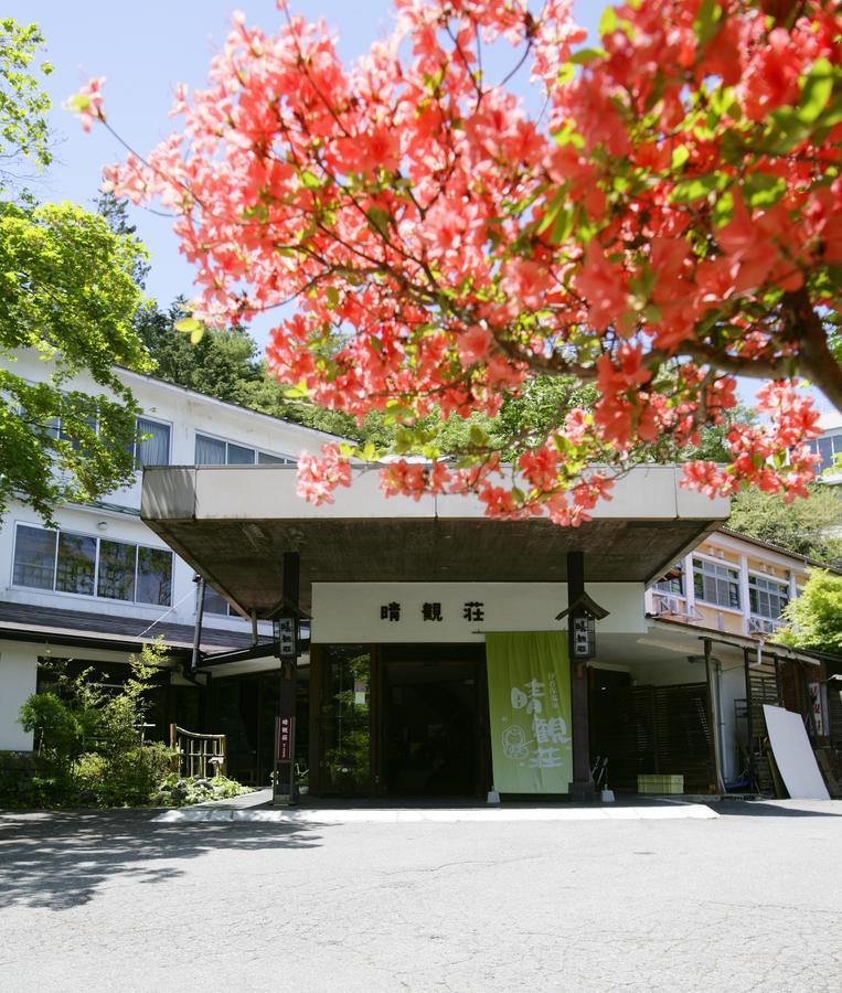 Ichikawa Bekkan Seikanso Shibukawa Екстериор снимка